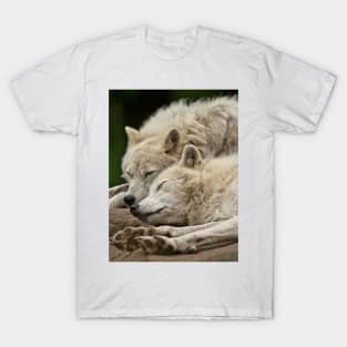 Arctic Wolves T-Shirt